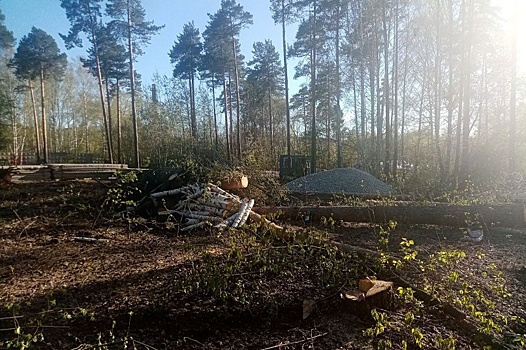На Уралмаше лесополосу вырубили ради торгового центра