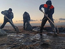 Новосибирские ученые поделятся технологиями для очистки Черного моря от мазута