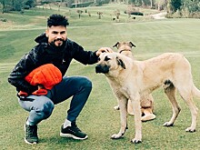 «В детстве укусила бешеная собака, делали 9 уколов». Игрок сборной России, который спасает животных