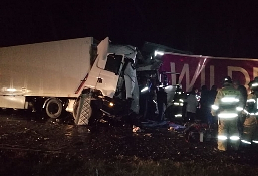 По дороге в Омск произошло смертельное ДТП с участием грузовика Wildberries (Фото)