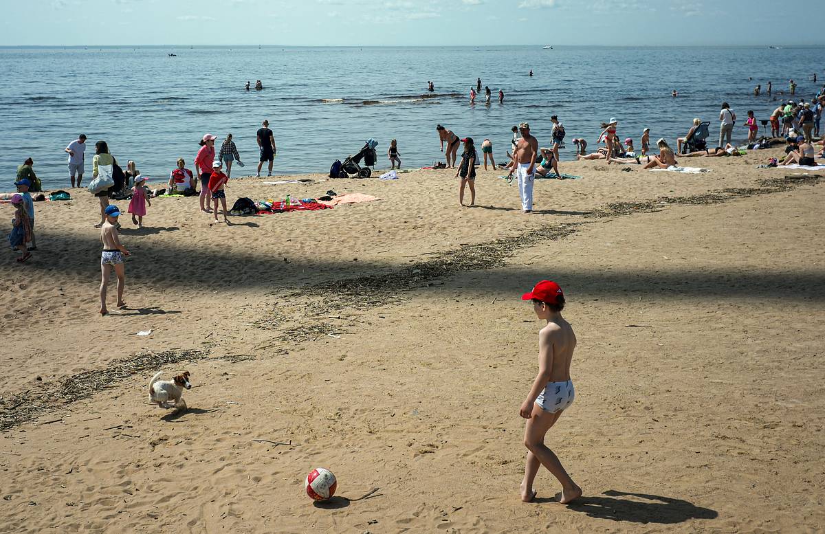 Финский залив может окраситься в зеленый