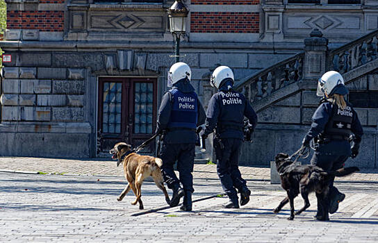 В Бельгии повысили до максимального уровень террористической угрозы
