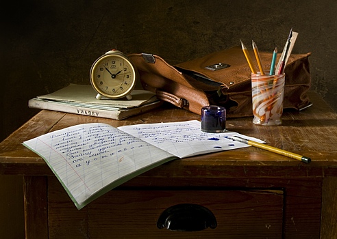 В российской школе заметили змей. Почему местные власти их не боятся