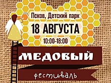 «Синергетика псковского наследия» получила диплом всероссийского фестиваля