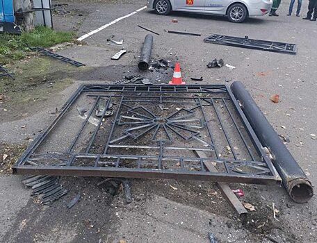 В Красноярске неизвестный сломал ворота в Центральном парке