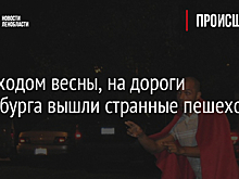 С приходом весны, на дороги Петербурга вышли странные пешеходы