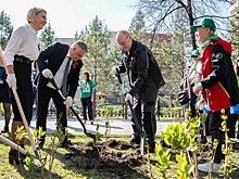 Новосибирские теплоэнергетики высадили "Сирень Победы"