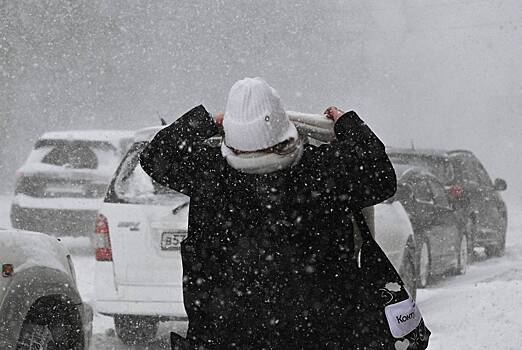 Части россиян пообещали сильные дожди и снегопады