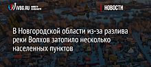 В Новгородской области из-за разлива реки Волхов затопило несколько населенных пунктов