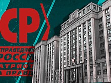 В партии «Справедливая Россия — За правду» считают, что слухи о лишении мандата Дмитрия Кузнецова распускают свои же