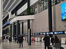 Авиакомпанию «Red Wings» наказали за пренебрежительное отношение к пассажирам в Новосибирске