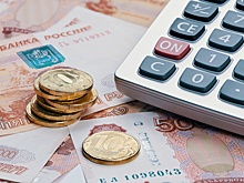 Счетная палата: ФАС исполнила расходы по бюджету в 2024 году на 99,98%