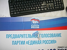 С праймериз в Приангарье снялись несколько человек