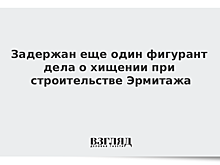 Задержан еще один фигурант дела Пирумова