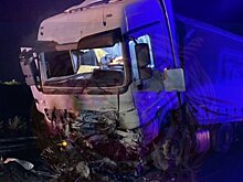 В Менделеевском районе водитель иномарки погиб после столкновения с фурой на встречке