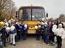 В школьные автопарки Ростовской области поступят 50 новых автобусов