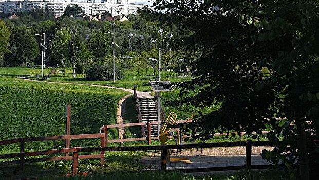 Эксперт прокомментировал борьбу уток и крыс за корм в парках Москвы