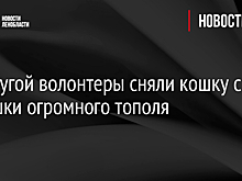 В Базеле судья во время матча назвал Хольгера Руне «Каспером»
