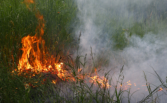 Пожарную безопасность лесов и сельхозугодий контролируют в воздухе и на земле