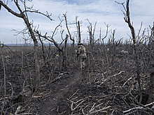 ВСУ за сутки потеряли до 220 военных в зоне группировки "Юг"