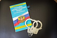 СК возбудил дело по факту гибели дочери кардиохирурга при пожаре в Солнечногорске