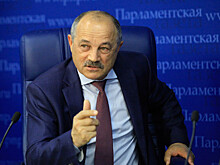 Говорин: контроль государства за БАДами способен предотвратить трагические последствия