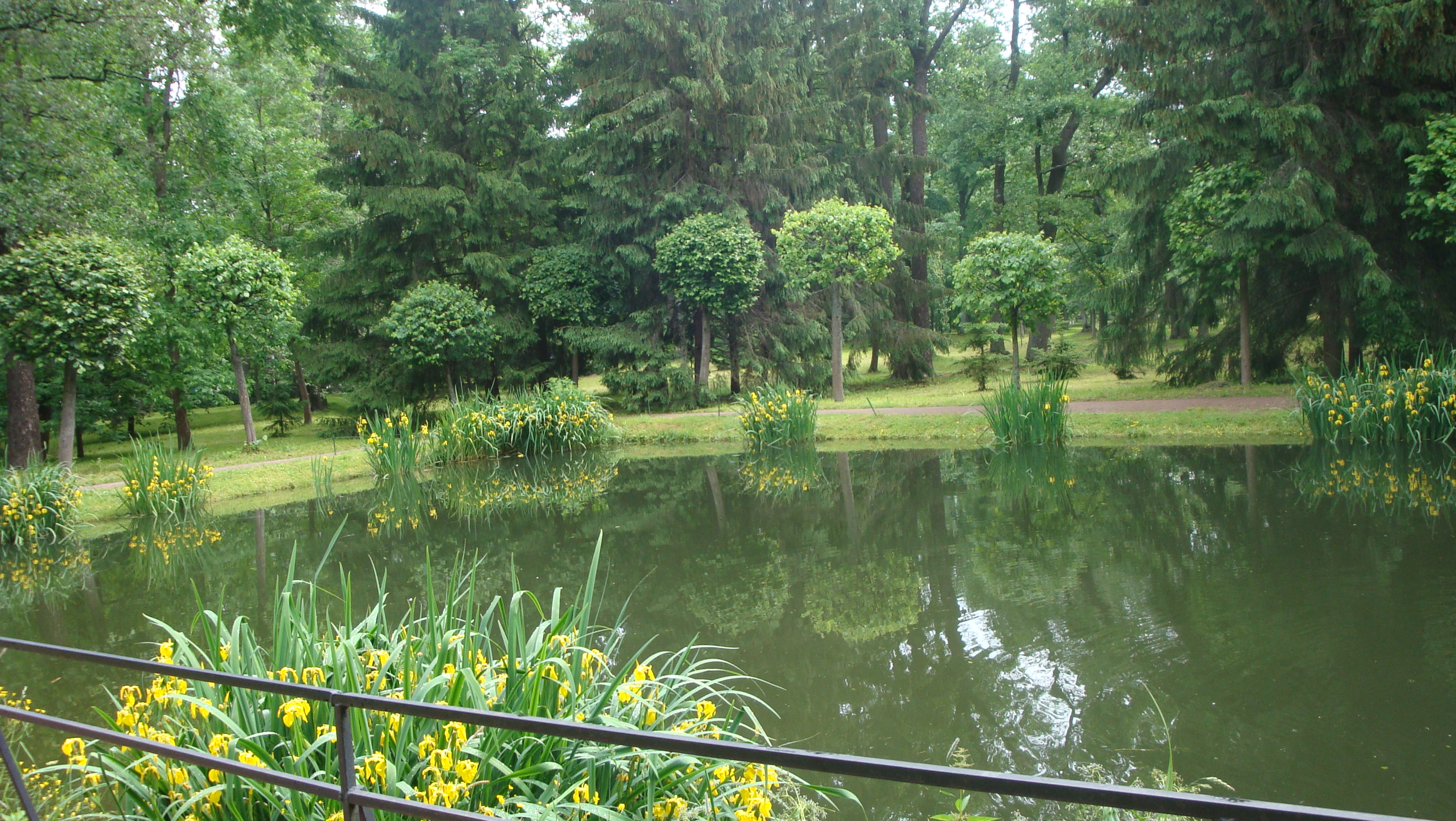 Пруд в саду Петергофа