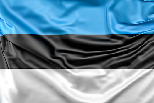Политолог прокомментировал предложение премьера Эстонии ввести эмбарго
