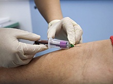 В Новосибирской области участники СВО и члены их семей активно проходят медосмотры