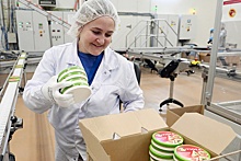 Роботизация в пищевой промышленности достигла 12-15 процентов