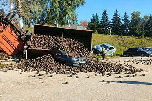 В Липецкой области грузовик со свеклой перевернулся на несколько легковых авто