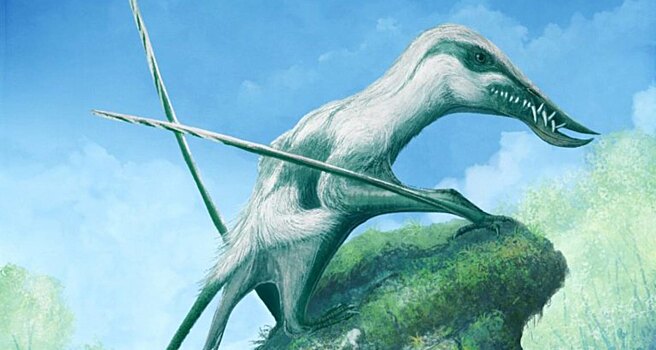 Найден новый птерозавр юрского периода