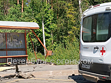 В Ленинградской области две иномарки снесли остановку общественного транспорта