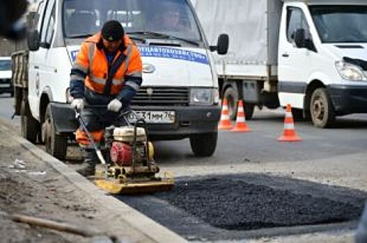 Не попасть на «доску позора». Как ярославские активисты помогают властям