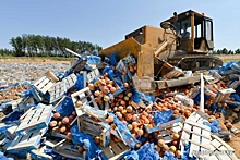 Более тонны санкционной продукции было уничтожено в Нижегородской области за полгода