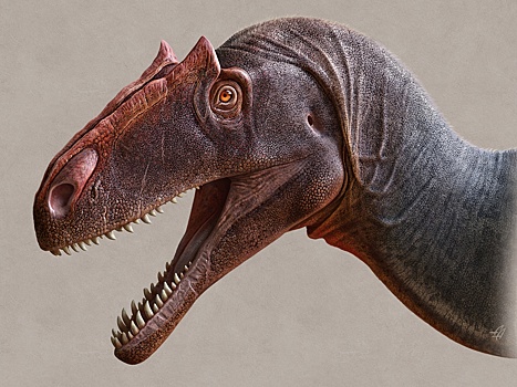 Палеонтологи описали новый вид аллозавров