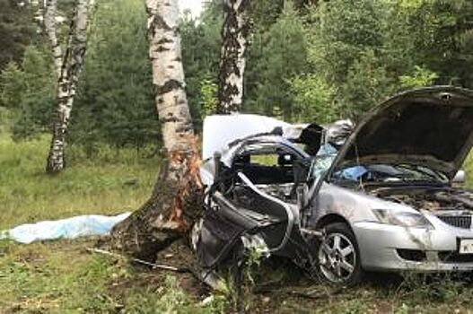 В Заволжском районе автомобиль вылетел с дороги и врезался в дерево