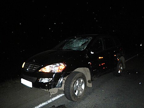 ДТП в выходные: Volkswagen убил пенсионерку, а лось бросился под колеса