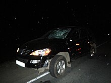 ДТП в выходные: Volkswagen убил пенсионерку, а лось бросился под колеса