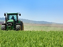 Почти 5000 фермеров в Костромской области получают 25% надбавку к пенсии