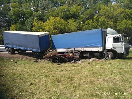 В страшной аварии под Ельцом погибли двое орловцев