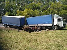 В страшной аварии под Ельцом погибли двое орловцев