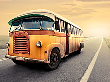 Сенатор: возрастной ценз автобусов для перевозки детей будет отменен