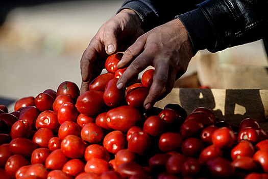 В Россию до конца мая разрешили ввезти до 100 тыс. тонн беспошлинных томатов