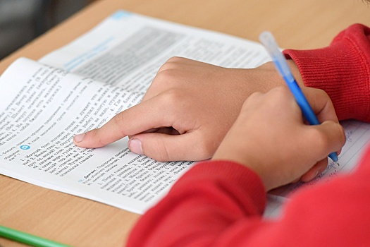 Россотрудничество наведет порядок с учебниками русского языка для иностранцев