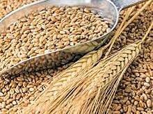 Дальневосточным аграриям предлагают отменить пошлину на экспорт зерновых