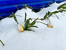 Синоптики пообещали снег с дождем