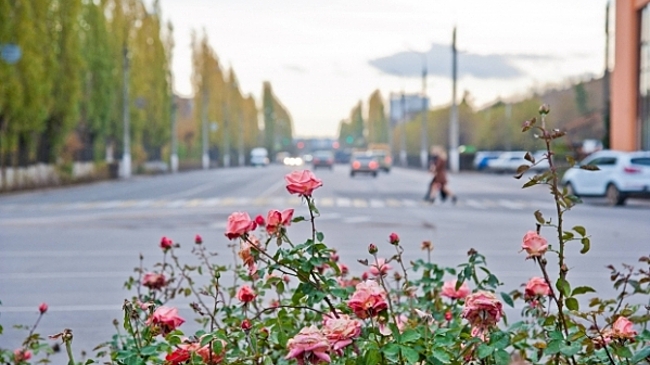 Жители Волгоградской области выберут объекты для благоустройства в Волжском