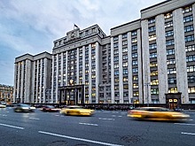 В Госдуме предложили изменить правила перевозки животных