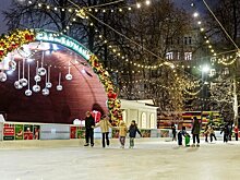 В Москве многодетные семьи могут бесплатно посетить катки по приложению